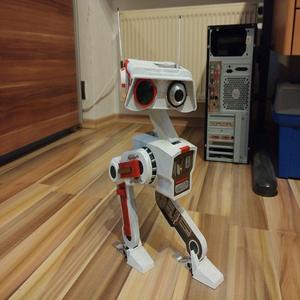 BD-1 Fallen Order