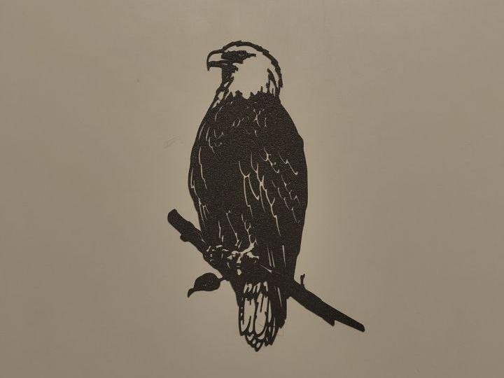 eagle wall art