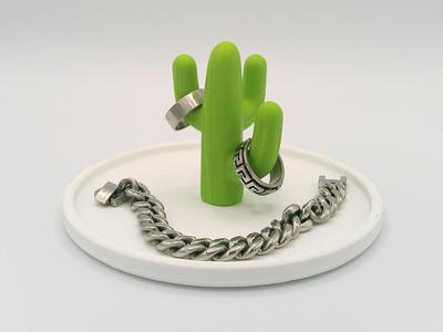 Jewelry cactus 