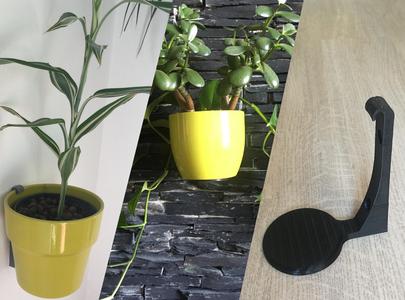 Planter wall hanger - custom sizeable