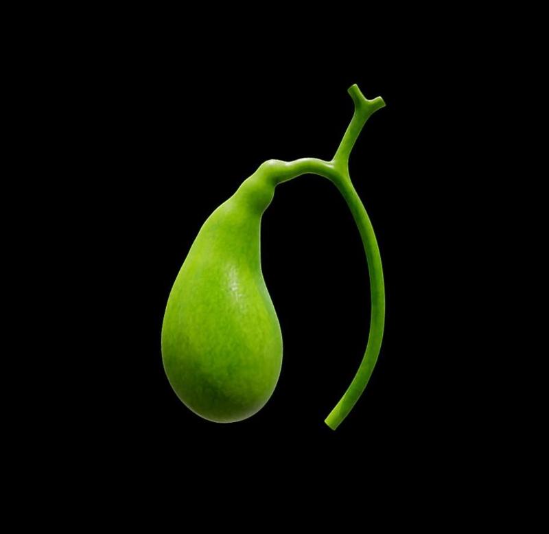 Gallbladder