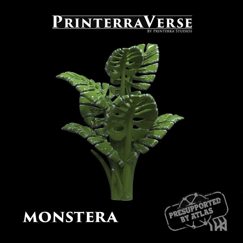 004 PLANT Monstera Tree