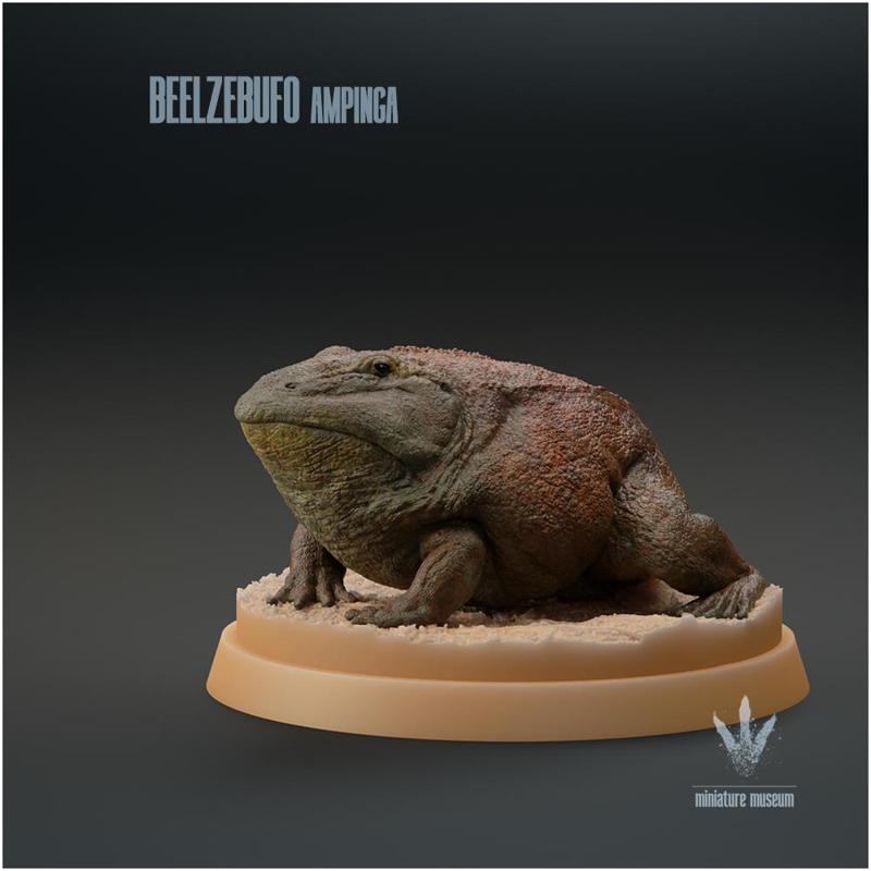 Beelzebufo ampinga : The Devil Toad