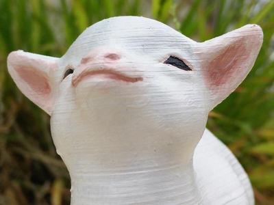 Smug goat