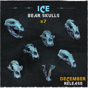 Bear Skulls