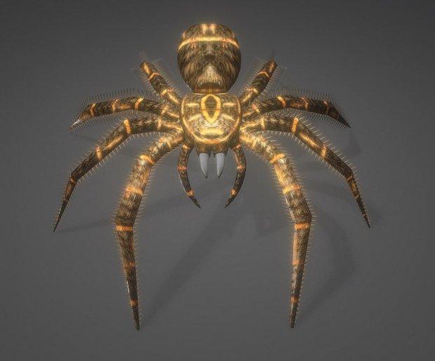 Spider Animated and Game-Ready 3D Model