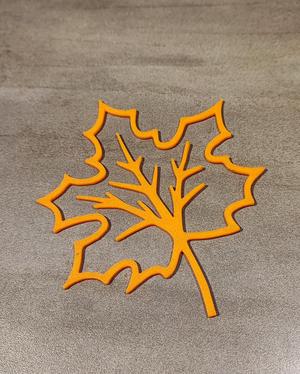 Autumn leaf / Herbstblatt