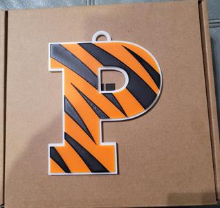 PRINCETON 3D Logo 180mm series