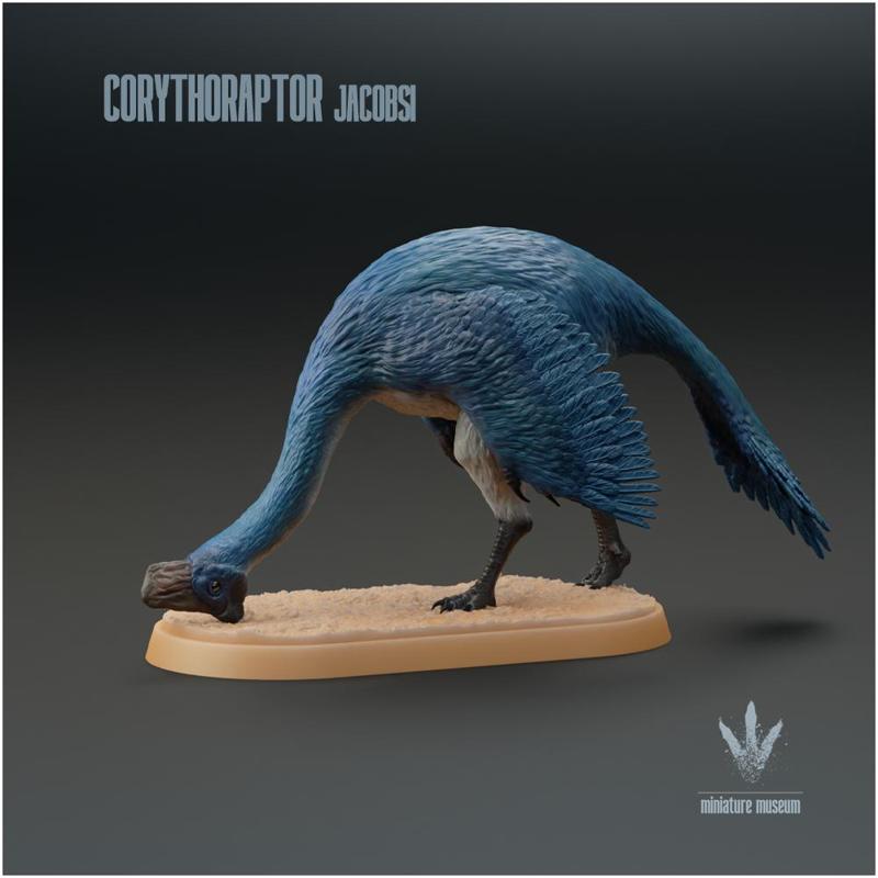 Corythoraptor jacobsi : Feeding