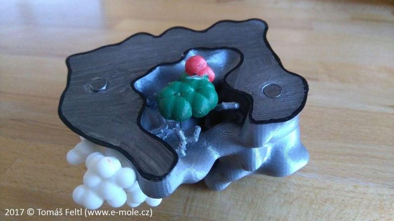 Fun science: Auxin-binding protein