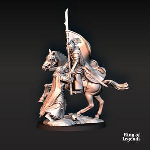 Bloody Elf Banner - Mounted | Bloody Elves | Fantasy | Ring of legends