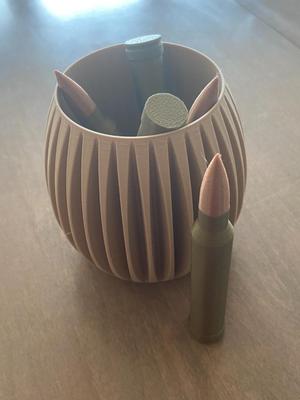 Winchester 300 rifle round