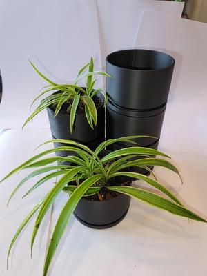 Miniature Planter