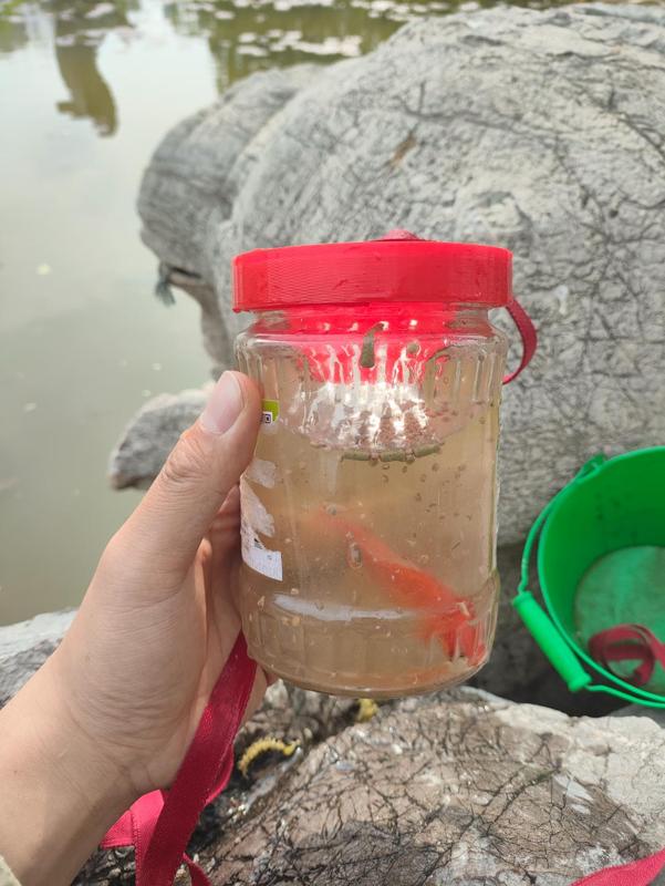 Fish catching artifact（捕鱼神器）