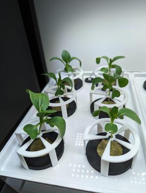 Fully parametric plant support