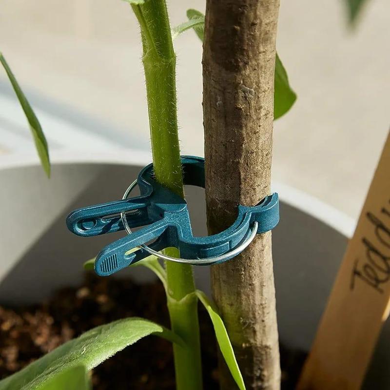 molletta supporto piante rampicanti