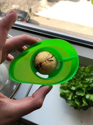 Avocaboat Avocado swimmer boat to hatch seed vasemode