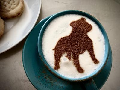 Coffee stencil -  Staffbull