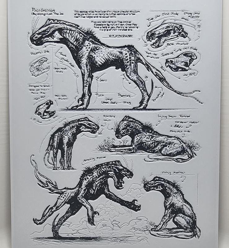 Placodasoinus