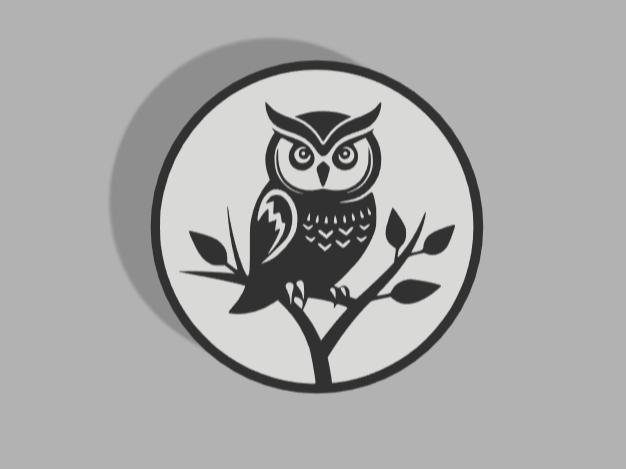 Owl Coaster