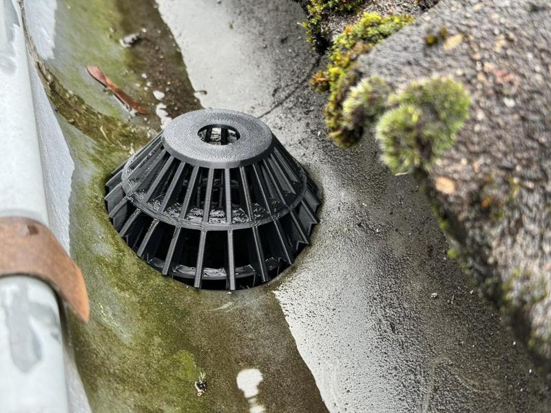 Rain Gutter Sieve / Regenrinnensieb