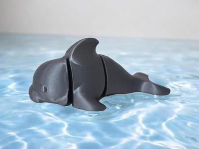 Flexi Dolphin
