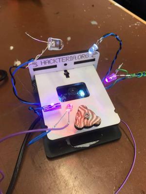 Hackteria Microscopy Stage - 2023