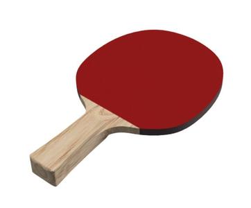 Ping pong paddle