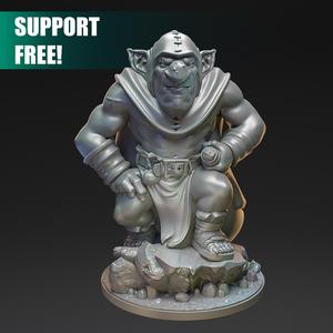 Goblin rogue, Shnaag