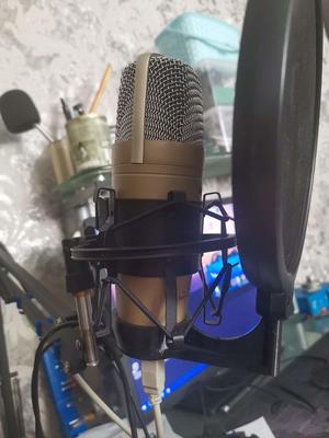 holder of the pop-filter of the Behringer C-1U