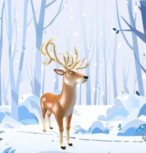 Christmas reindeer   