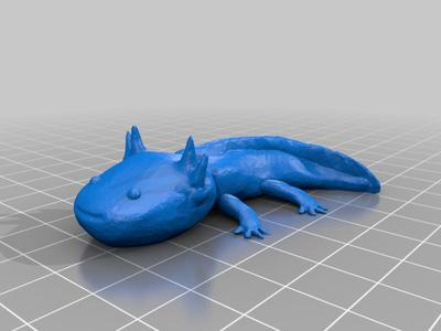 Axolotl