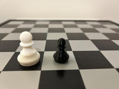 customisable replacement pawn