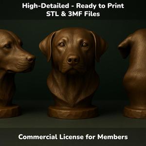 Labrador Retriever Dog Bust - 3D Printable STL 3MF File - Pet Memorial Statue - Dog Model Download