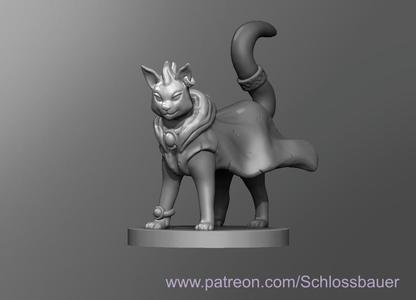 Sorcerer cat