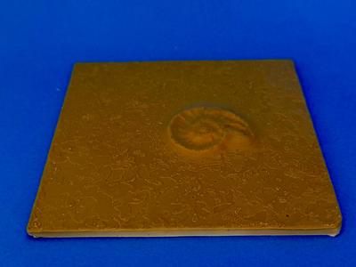 Tile with fossil