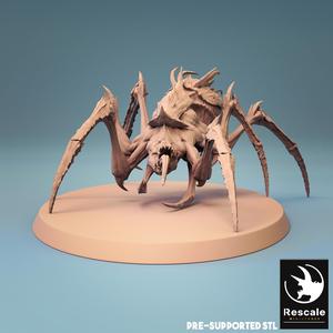 Spider