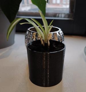 Small planter for cutting 