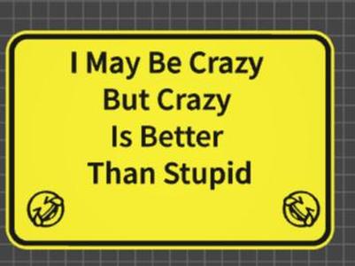 funny sign crazy is better than stupid