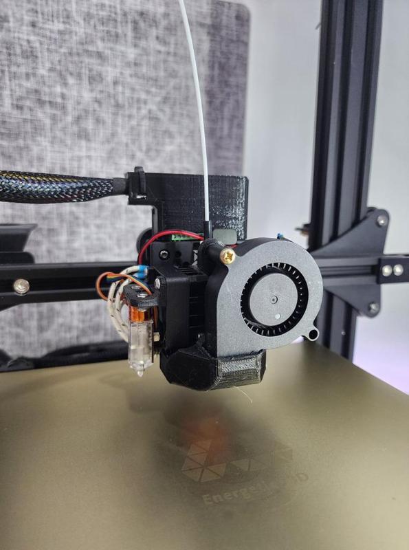 Biqu Hermit Crab with H2 set up