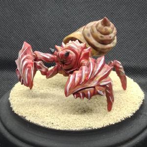 Giant Hermit Crab, Miniature