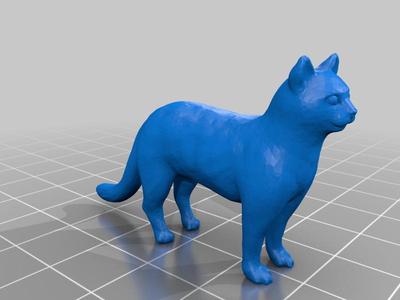1:9 standing cat
