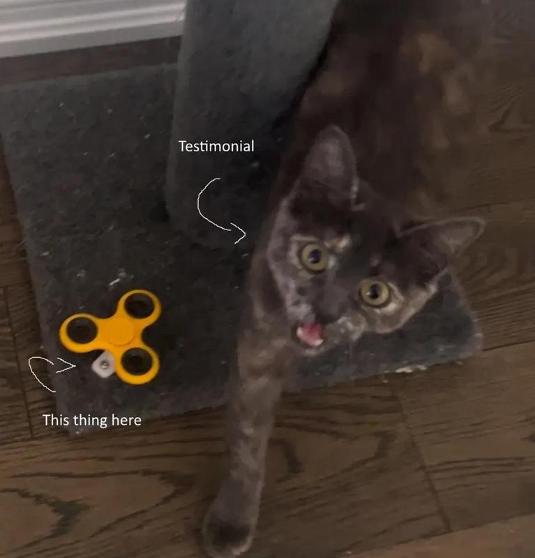 Fidget spinner but for a cat   