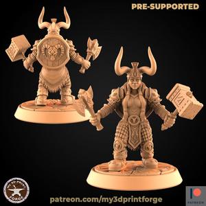 Dwarf Female Paladin with Weapons