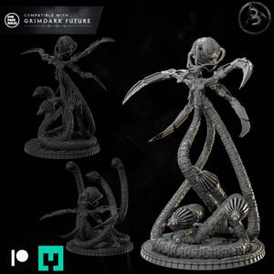 Mechanical Hive Venandi Form Set