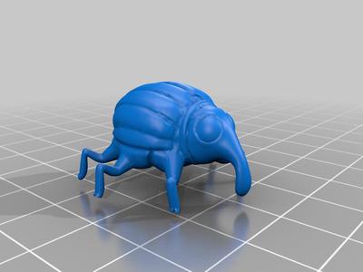 weevil