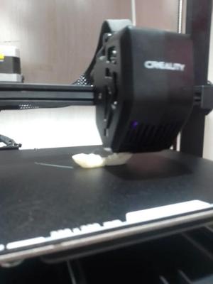 Double Benchy   