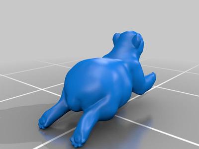 bear?