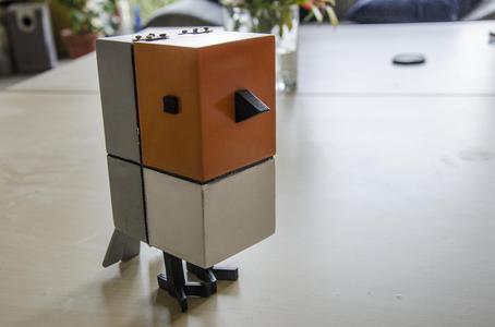 Cubirds Box-Inseter