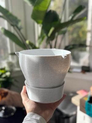 Self Watering Hanging Pot   